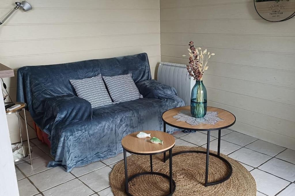 Charmante Maisonnette Proche Plage Châtelaillon-Plage Kültér fotó